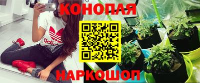 spice Краснознаменск